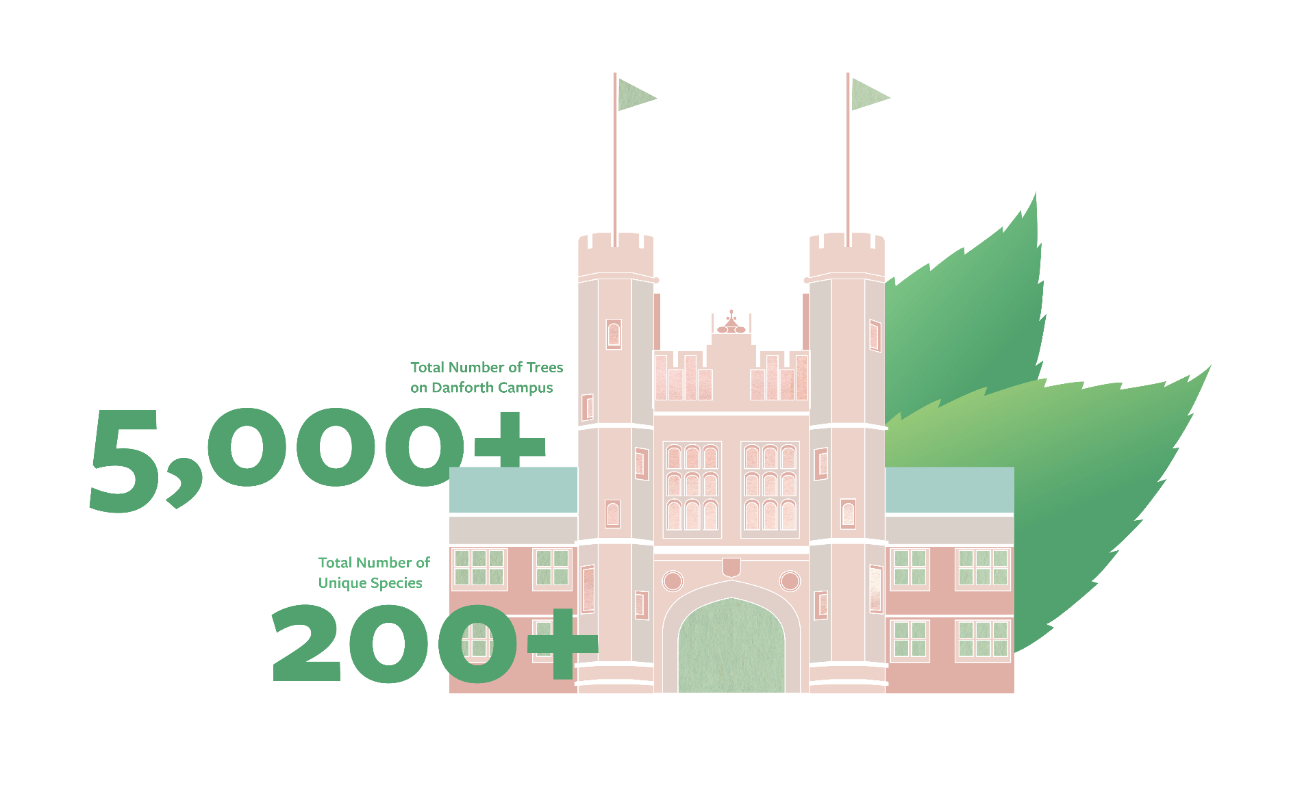 A graphic of Brookings that reads "Total Number of Trees on Danforth Campus: 5,000+" and "Total Number of Unique Species: 200+"